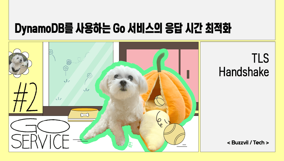 DynamoDB를 사용하는 Go 서비스의 응답 시간 최적화 #2 TLS Handshake